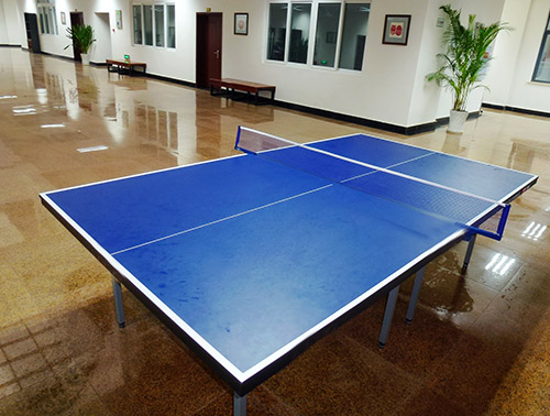 沧州乒乓球台